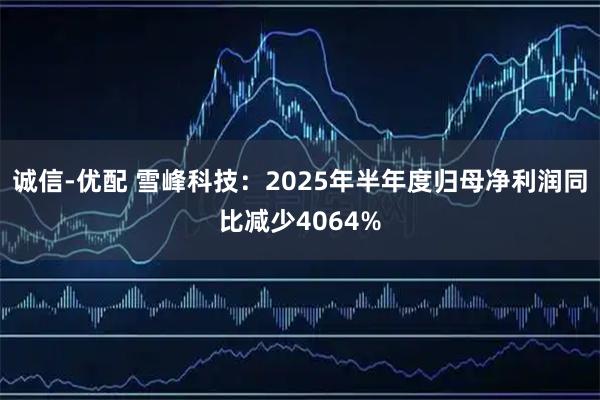 诚信-优配 雪峰科技：2025年半年度归母净利润同比减少4064%